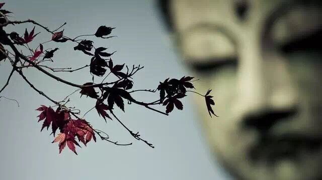 不跟人結(jié)怨的方法