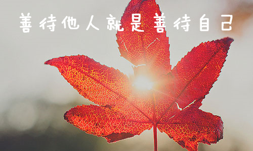 善待他人才是善待自己