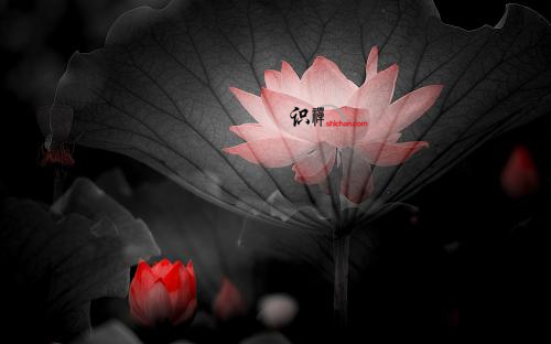 心善的人，自帶光芒